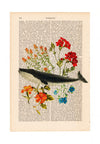 Kunstdruck - Flower Whale