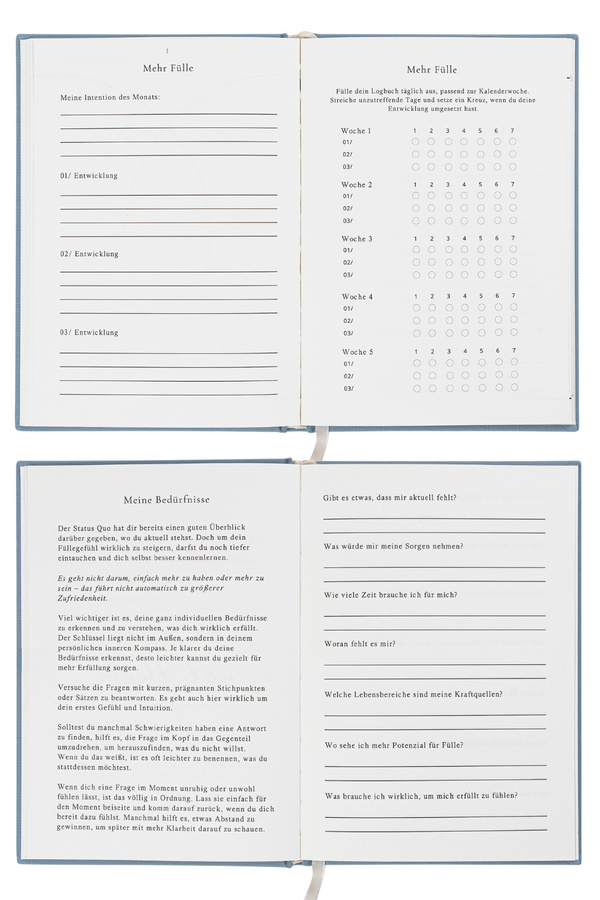 Buch "Fülle Journal"