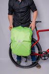 Regencape Red Rebane