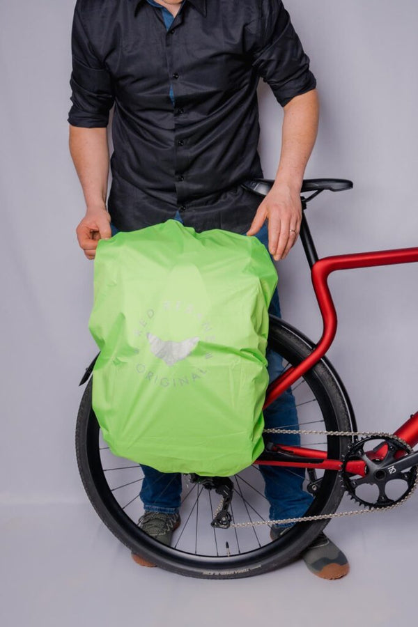 Regencape Red Rebane