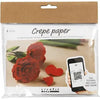 Mini Kreativ Set Rosen aus Krepp Papier