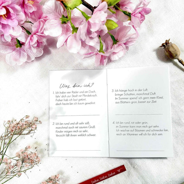 Das kleine Rätselbüchlein der guten alten Zeiten