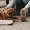Vorratsglas Hund