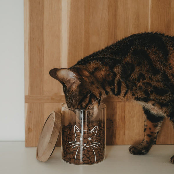 Vorratsglas Katze