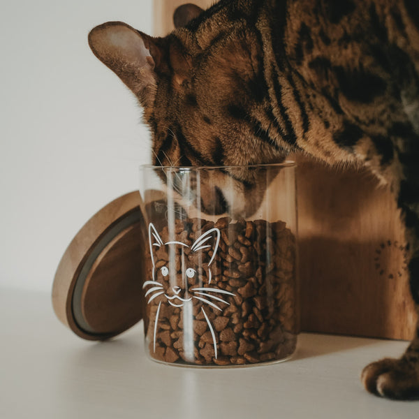 Vorratsglas Katze