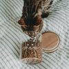Vorratsglas Katze