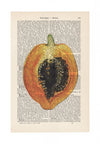 Papaya  - Vintage Book Page - Fruit Art Print