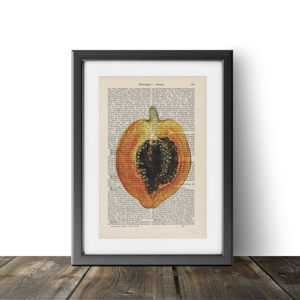 Papaya  - Vintage Book Page - Fruit Art Print