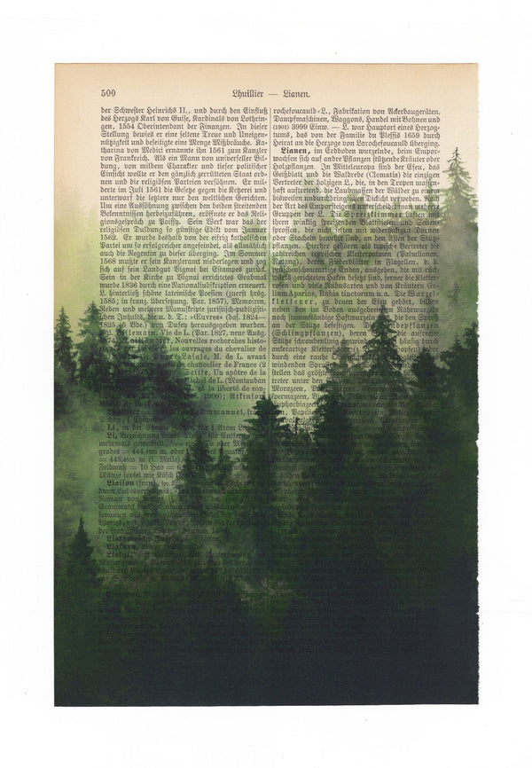 Kunstdruck : Misty Forest